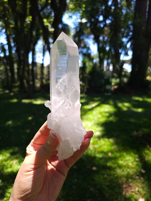 Super Mestre Autocurado, Ponte para Fora e Lemuriano