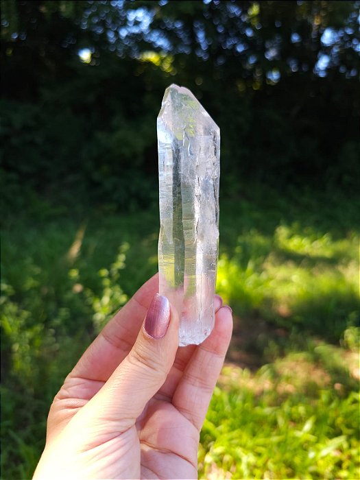 Mestre Arquivista Autocurado