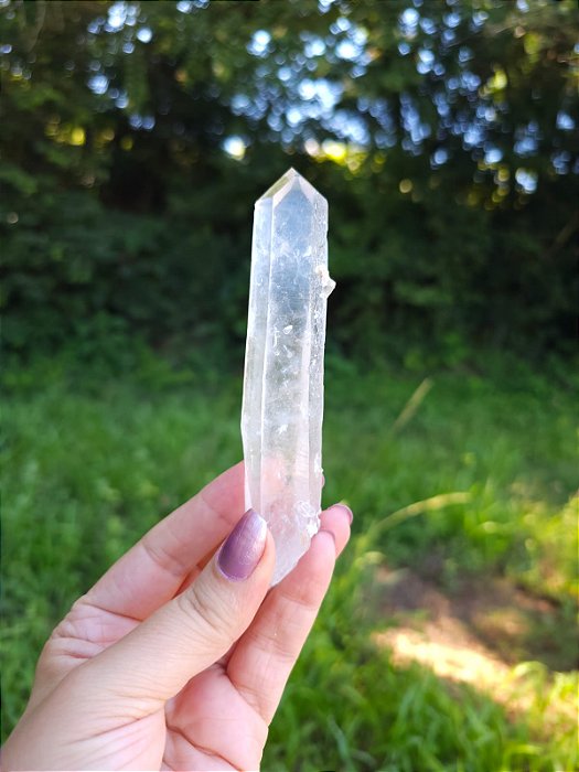 Mestre Ponte, Autocurado e Imprint