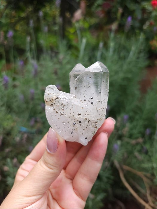 Quartzo com Hematita