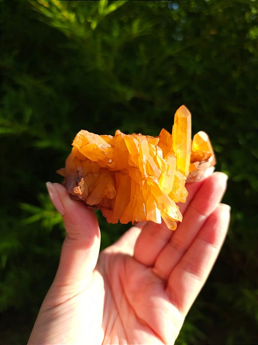 Drusa de  Quartzo Tangerina