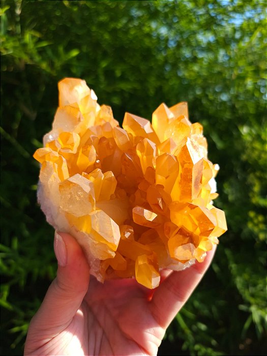 Drusa de  Quartzo Tangerina