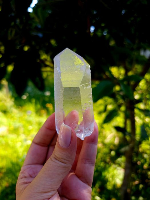 Mestre Semente Estelar Gravado