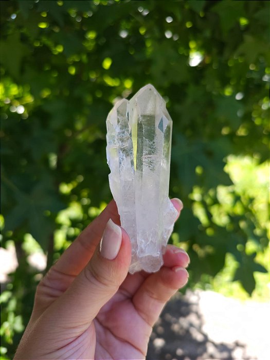 Mestre Semente Estelar e Elo do Tempo Futuro