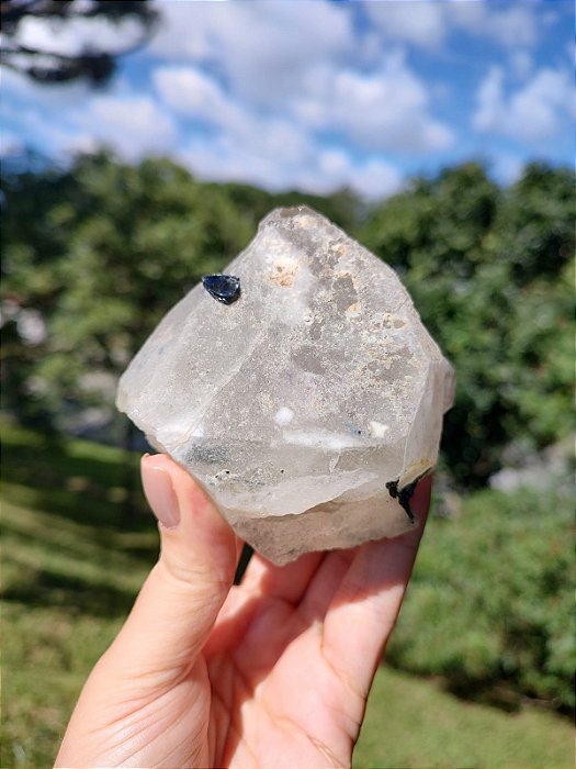 Quartzo Elestial Turmalinado