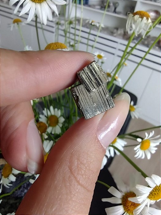 Pirita Peruana