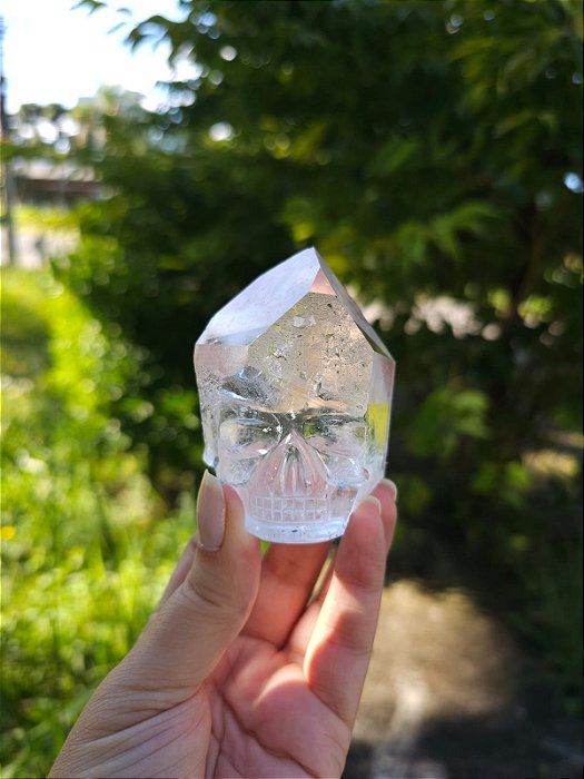 Crânio Ponte para Fora