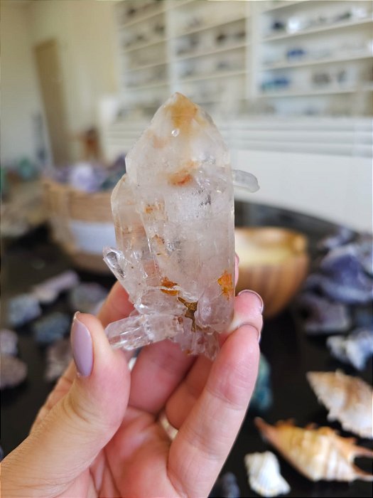 Anbibólio Autocurado e Ponte para Fora