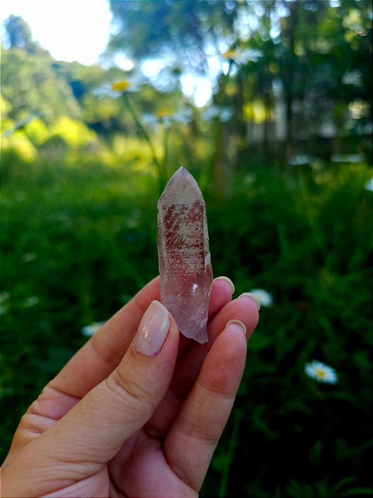 Ponta Rosa com Imprint