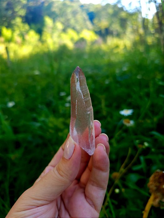 Mestre Lemuriano Rosa