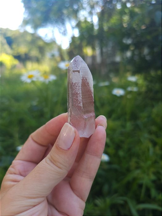 Mestre Lemuriano Rosa