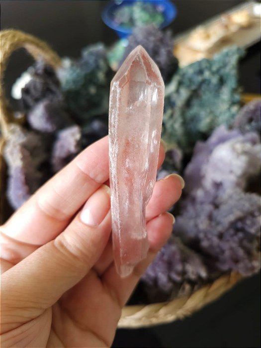 Mestre Ísis, Elo do Tempo Passado e Futuro Rosa