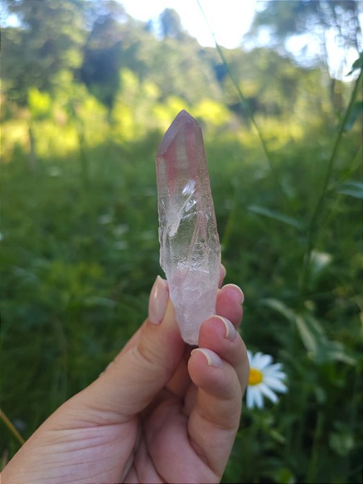 Mestre Lemuriano Rosa