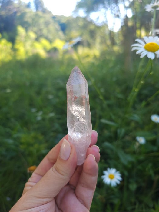 Mestre Lemuriano  Rosa