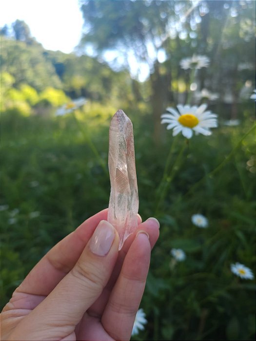 Mestre Lemuriano  Rosa