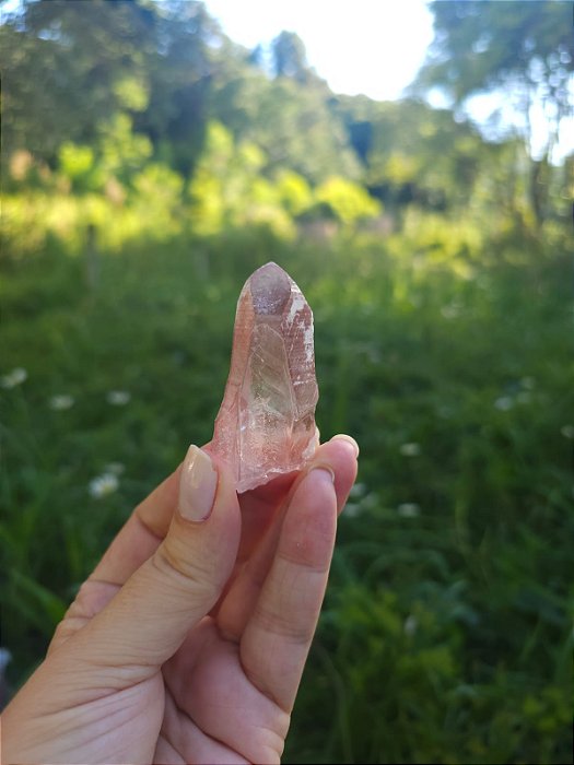 Mestre Lemuriano Rosa