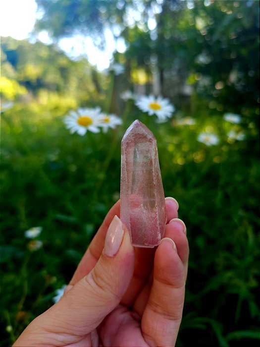 Mestre Lemuriano  Rosa