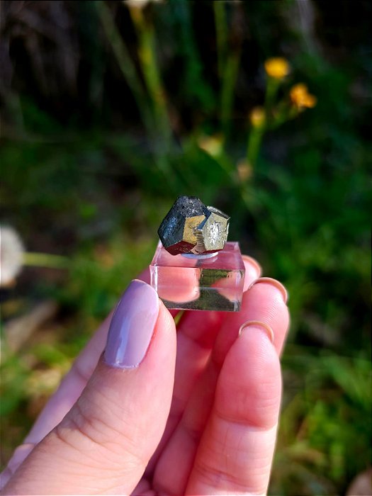 Pirita Dodecaédrica