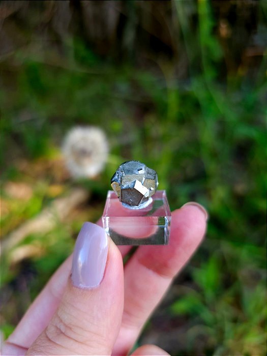 Pirita Dodecaédrica