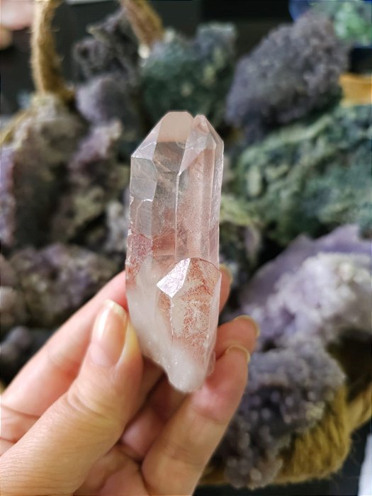 Trindade Rosa Autocurada