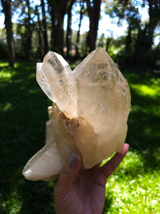 Drusa de Citrino Arquivista