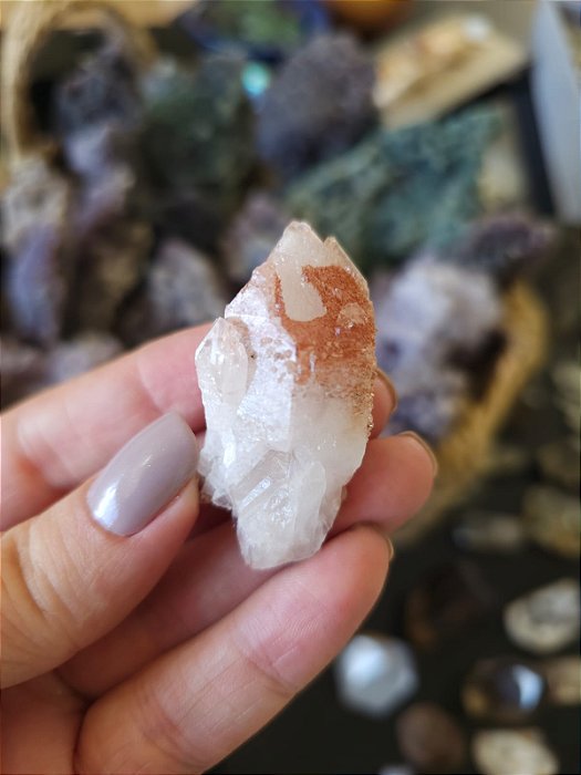 Formação Pink  Autocurada