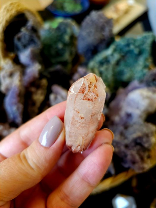 Formação Pink  Autocurado