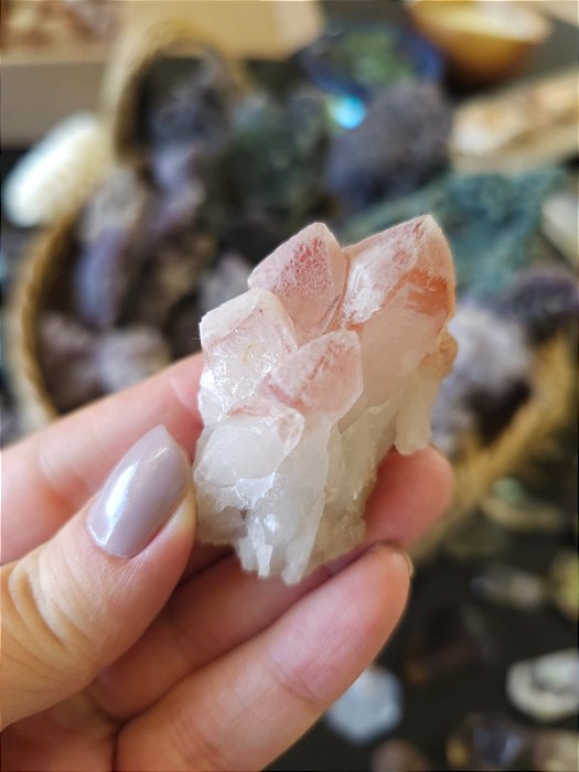Ponta Pink Sugar