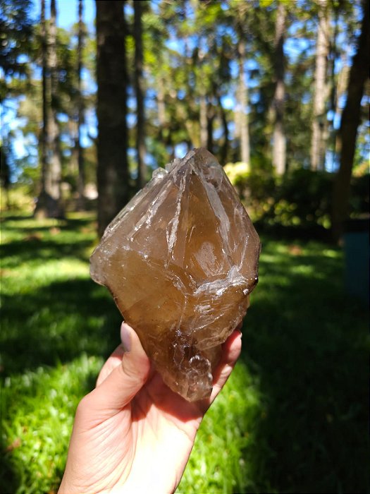 Citrino Elestial em Formação Natural