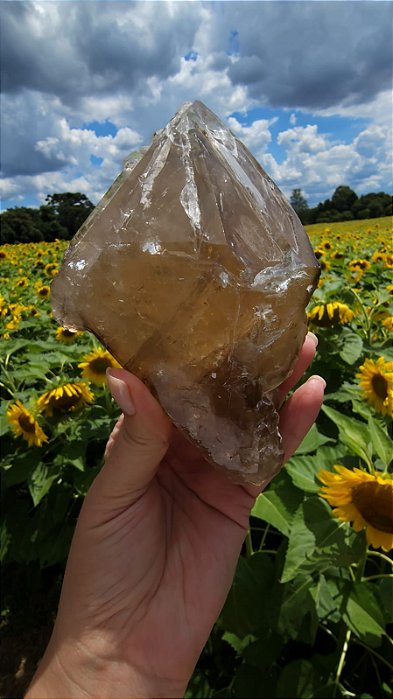 Citrino Elestial em Formação Natural