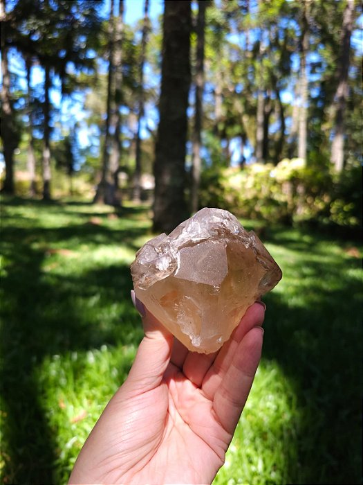 Citrino Elestial em Formação Natural