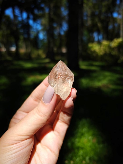 Citrino Elestial em Formação Natural