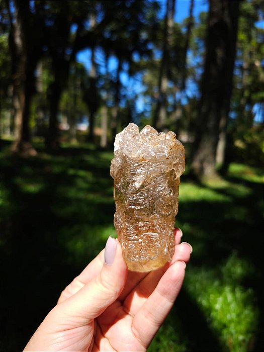 Citrino Elestial em Formação Natural