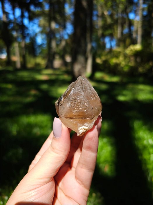 Citrino Elestial em Formação Natural