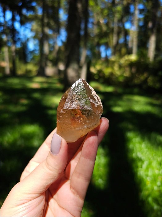 Citrino Elestial Trigônico com Elo do Tempo Passado em Formação Natural