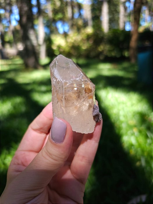 Citrino Elestial com Mica e Arco- íris em Formação Natural