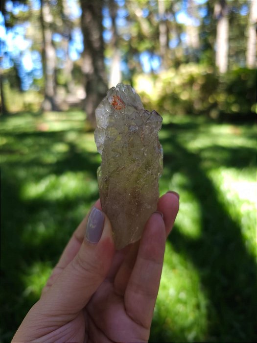 Citrino Elestial em Formação Natural