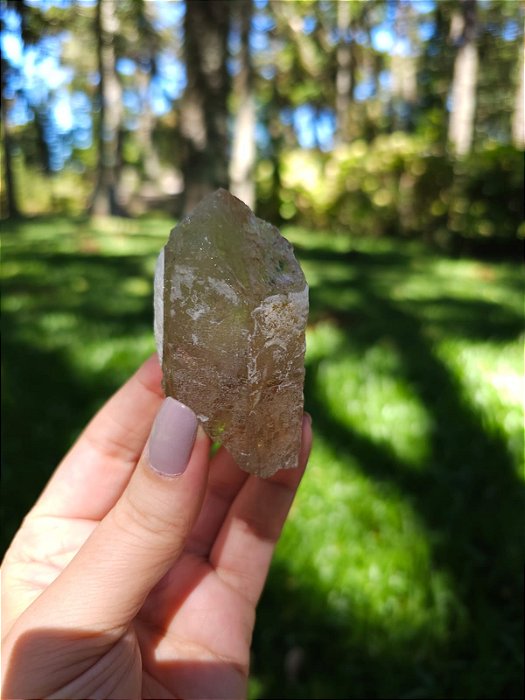 Citrino Elestial em Formação Natural