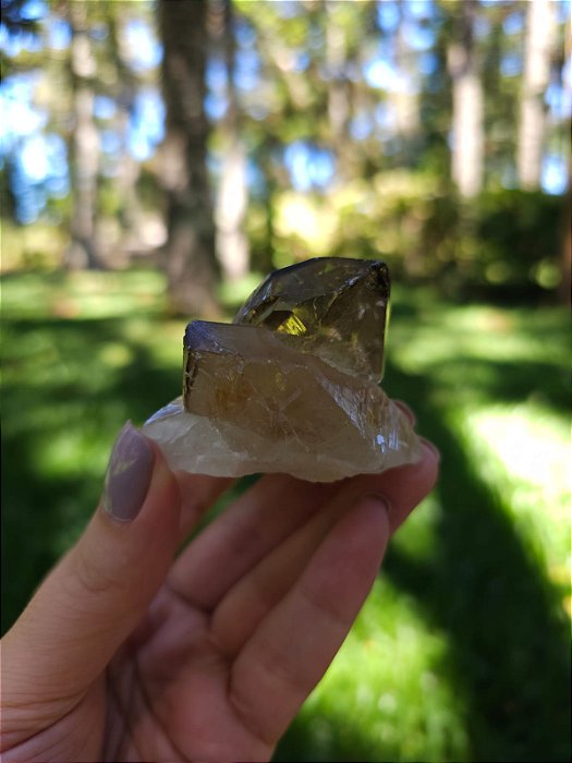 Citrino Elestial em Formação Natural