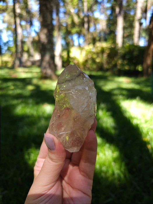 Citrino Elestial em Formação Natural