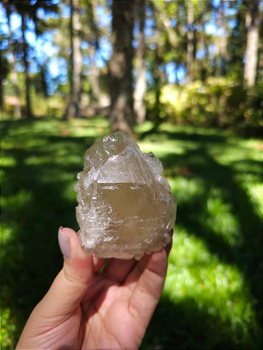 Citrino Elestial em Formação Natural