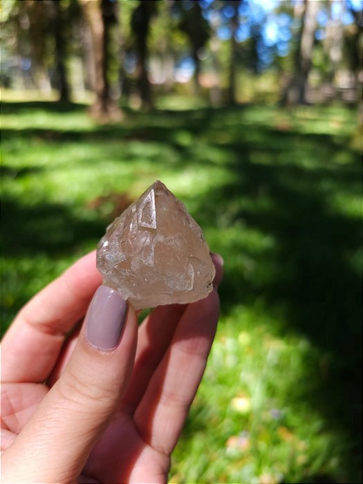 Citrino Elestial em Formação Natural