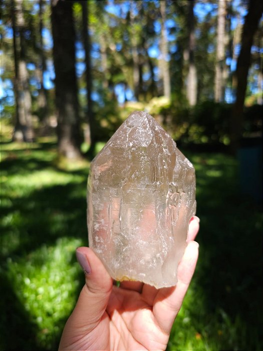 Citrino Elestial em Formação Natural