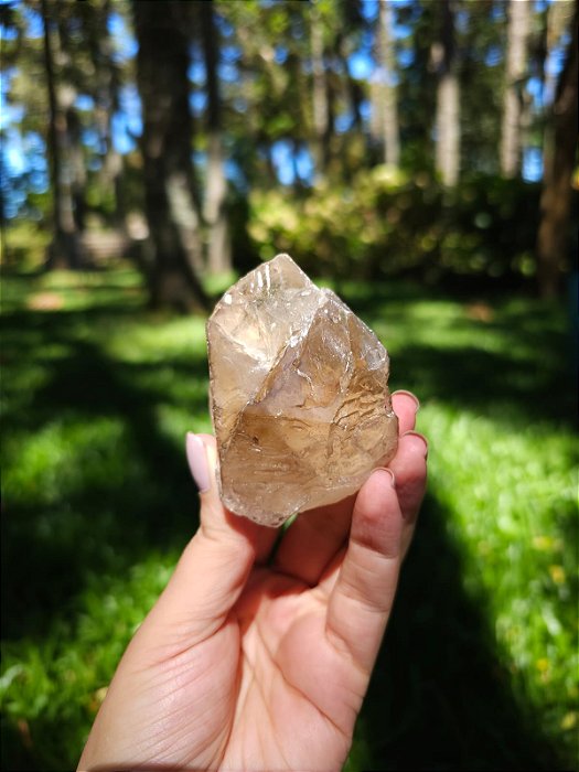 Citrino Elestial em Formação Natural