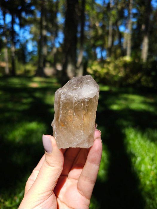 Citrino Elestial em Formação Natural