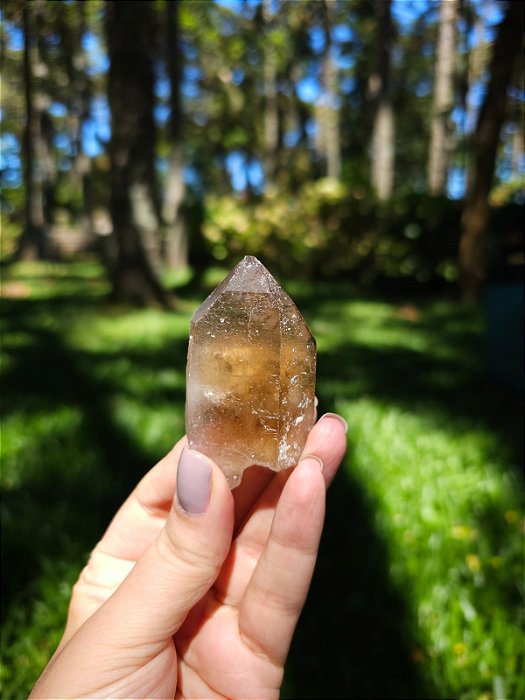 Citrino Elestial  em Formação Natural