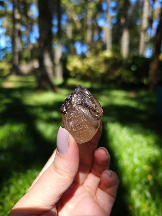 Citrino Elestial  em Formação Natural