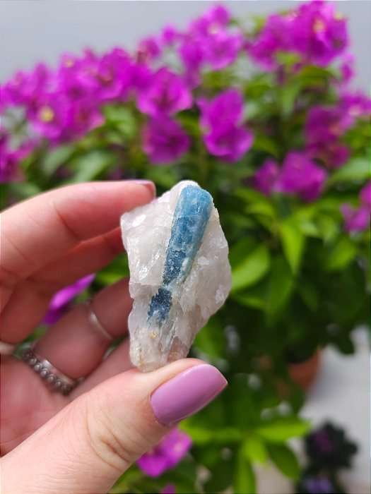 Água Marinha na Matriz de Quartzo