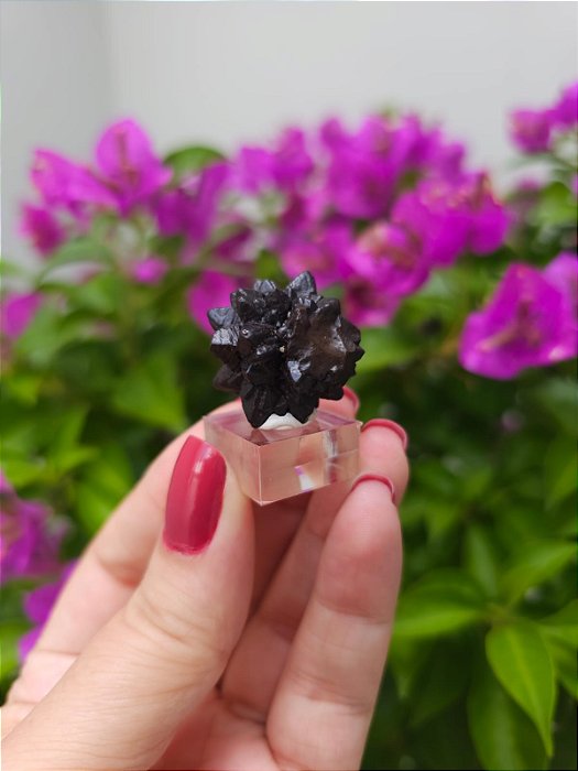 Pedra da Profecia - Egito