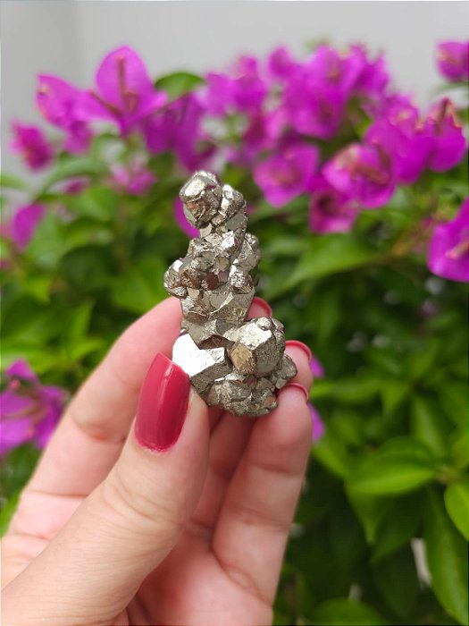 Pirita Peruana